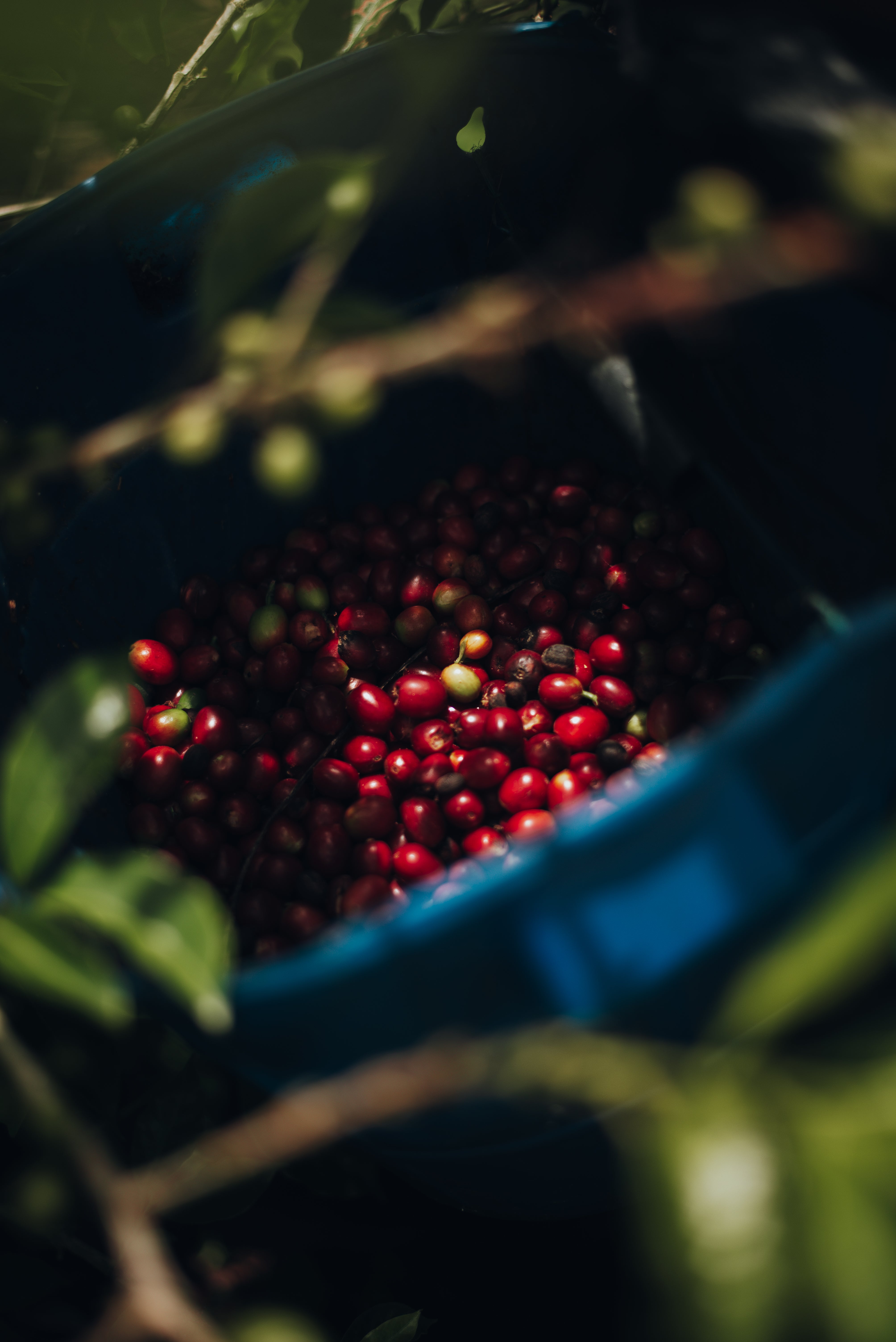 MURATA ORIGINAL921025ローファ濃茶25.5 MURATA ORIGINAL921025ローファ濃茶25.5