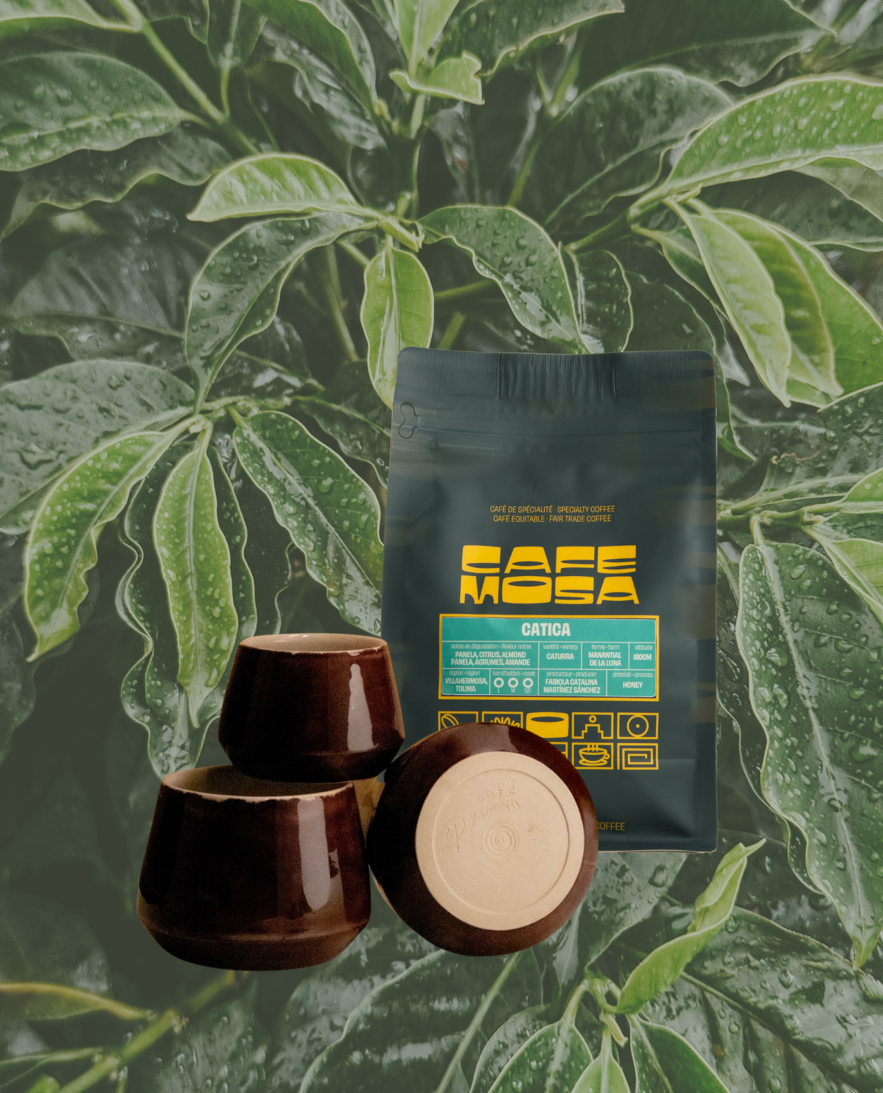 Catica — Tree-to-Cup Bundle