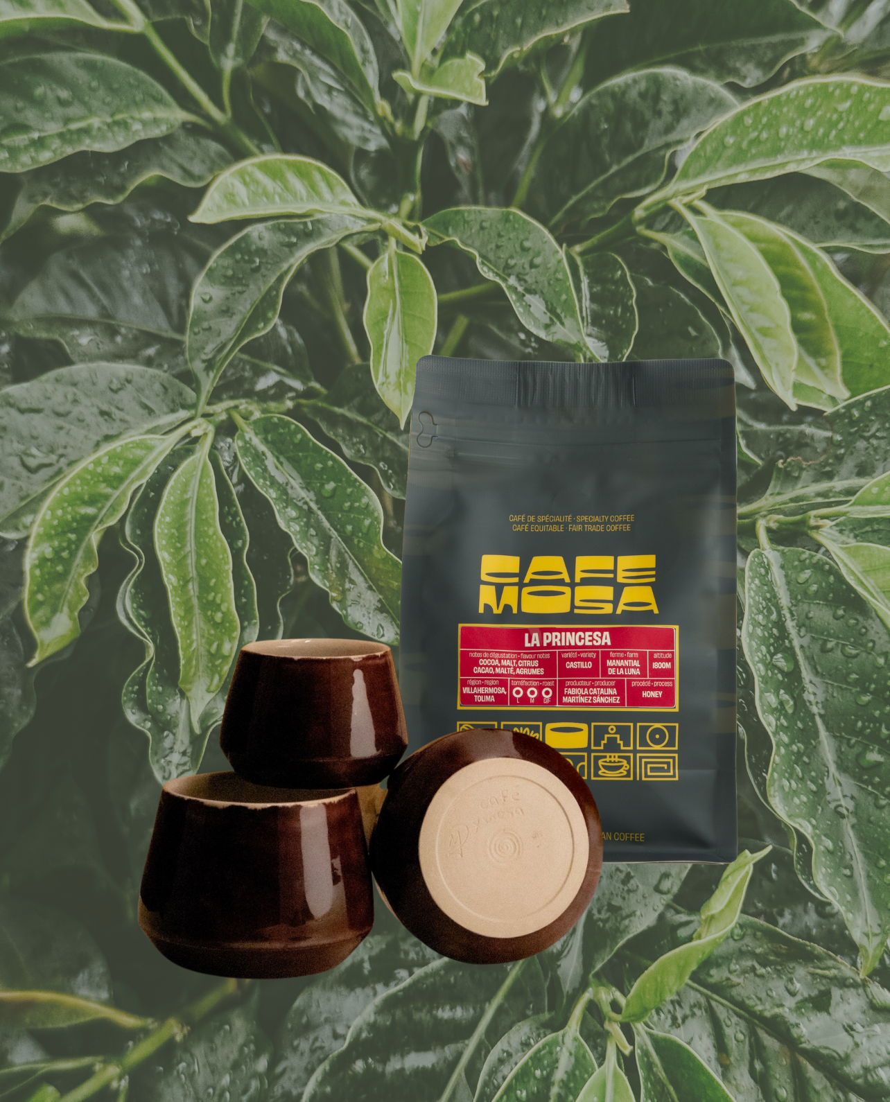 La Princesa — Tree-to-Cup Bundle